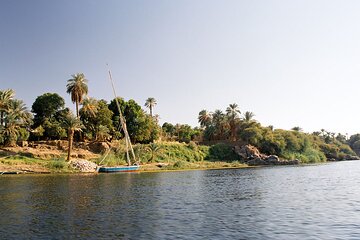 Aswan Felucca Ride and Botanical Gardens Tour