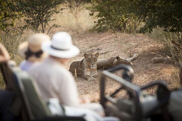 3 Day Kapama Southern Camp Safari