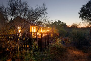 3 Day Kapama Buffalo Camp Safari