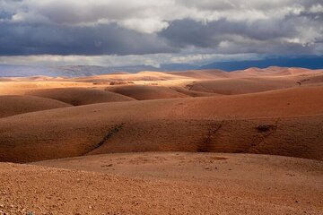 Agafay Dinner with Camel Ride & Quad Biking experience 