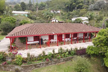 Half-day coffee tour at a coffee farm in Medellin.