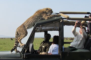 5 Day Kenya Adventure Safari on 4x4 Land Cruiser Jeep