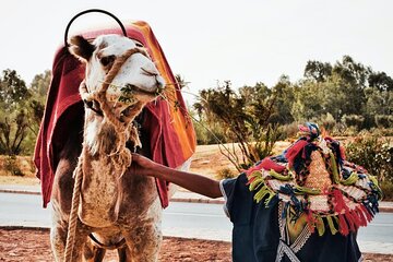 full day private tour of tangier