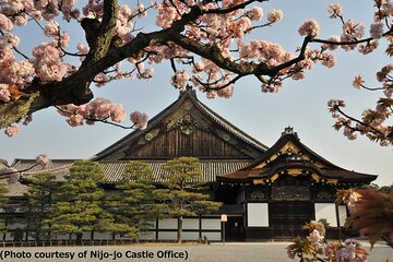 Kyoto 1 Day Tour - Golden Pavilion and Kiyomizu Temple from Osaka