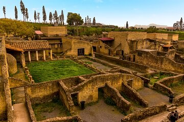 Skip-the-Line Ticket for Herculaneum Ruins