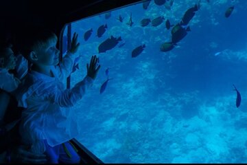 2 Hours Semi Submarine Tour With Transfer from Sharm El-Sheikh 