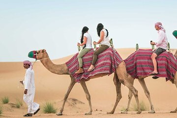 Red Desert Safari With Camel Ride & Sand Skiing
