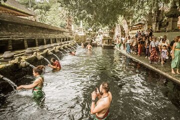 One Day Private Tour From Benoa Port Bali