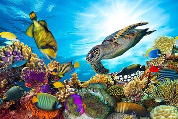 Sharm El Naga Full-Day Snorkeling Tour From Hurghada