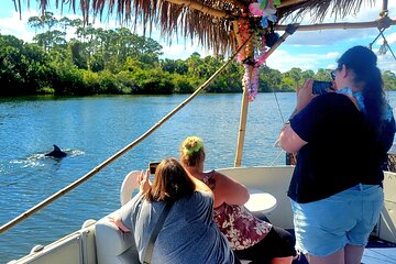 Cocoa Beach 2 Hour Dolphin Sightseeing tour- public
