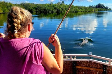 2 hour Dolphin Sightseeing Tour in Melbourne Florida 