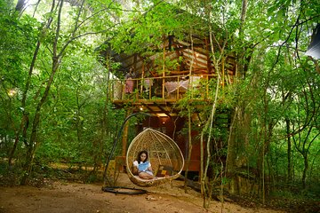 2 Nights in a Tree House in Sigiriya-with nature based activities