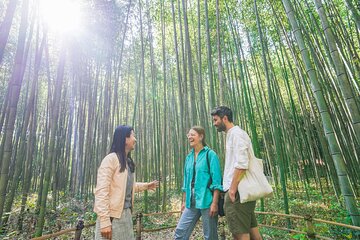 Kyoto Arashiyama Bamboo forest & Garden Half-Day Walking Tour