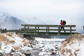 Canmore: Mountain Drive and Nature Walk - Private Tour 4hrs