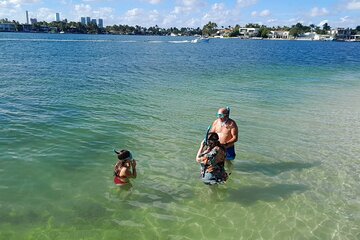 Bayside Market Place Snorkeling for Beginners 