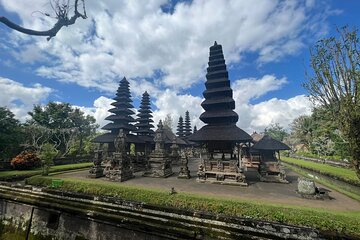 Full Day Private Car Tour with Driver as Guide in Ubud