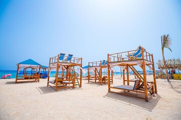 Snorkeling at Nemo Island with Lunch and Transfer In Hurghada