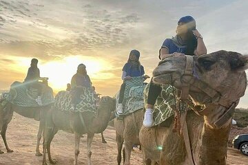 Guided camel ride in Agadir