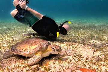 The Cozumel Turtle Sanctuary Snorkel Tour