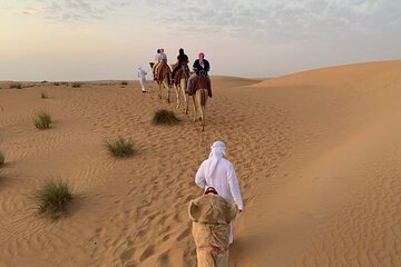 Desert Oasis Private Discovery in Sharm El Sheikh