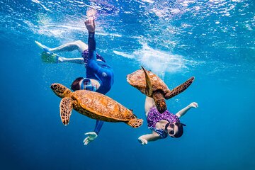 Full Day Snorkeling with Turtles in Sharm El Naga from Hurghada