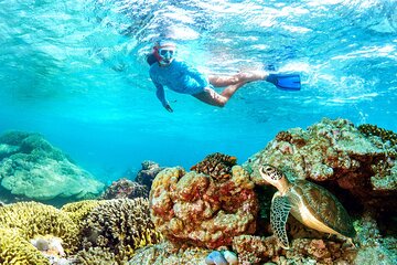 Full Day Snorkeling with Turtles in Sharm El Naga from Hurghada