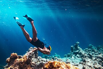 Private Full Day Snorkeling in Abu Dabbab From Port Ghalib