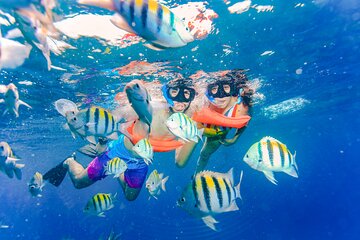 Caribbean Snorkeling Adventure: Explore Puerto Morelos Reef