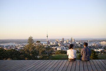 Private Day Trip in Auckland City 