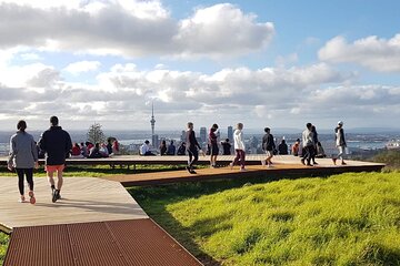 Half-Day Auckland City Sightseeing Small Group Tour