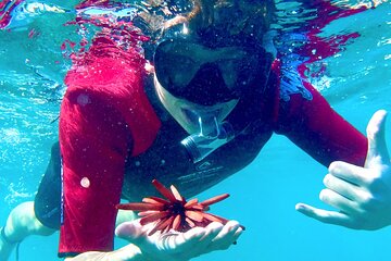 Guided Snorkeling for Beginners with Flotation Wetsuit