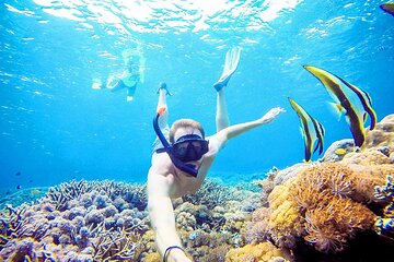 Snorkeling Nusa Penida and Island Tour Package