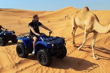 Luxor Quad Biking Safari, Camel & Felucca Cruise on the Nile 