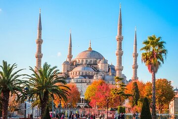 Istanbul Shore Excursion : Best Seller Private Istanbul Tour