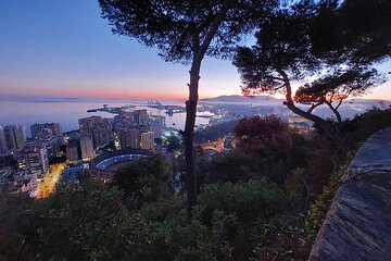 Night Tour in Malaga by Electric Car.Enjoy the sunset