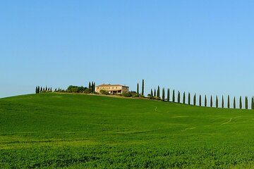 Rome to Pienza & Montepulciano Private Day Trip