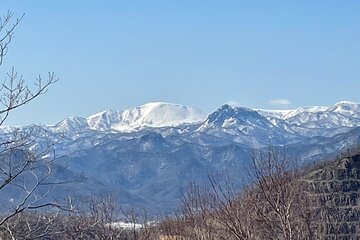 Snowshoeing Adventures in a Winter Wonderland - Sapporo