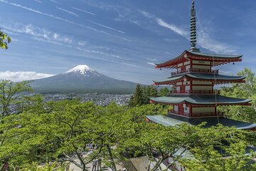 Mount Fuji & Hakone Private Tour with English speaking shofar 