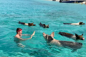 Bahamas Famous Pink Sand and Pig Experience with Snorkeling