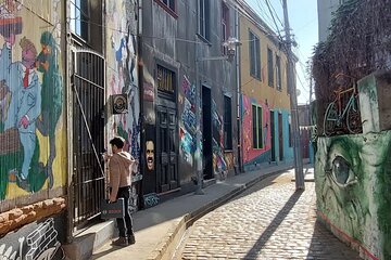 Full Day Tour in Viña, Valparaiso and Reñaca