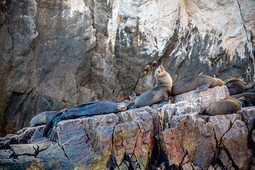 Espiritu Santo Island Tour