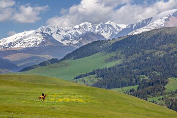 Full Day Private Tour in Assy Plateau