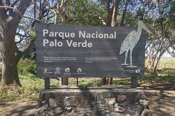 7 Hour Private Tour in Palo Verde National Park with Pickup