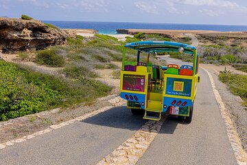 Half Day National Park Safari Tour and Baby Beach