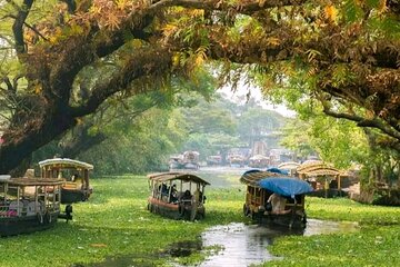 Coconut Lagoons, Paddies, Birds, & Fish Experience Tours