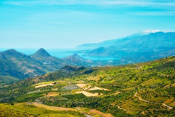 Full Day Private Crete Wine Tour Experience from Heraklion 