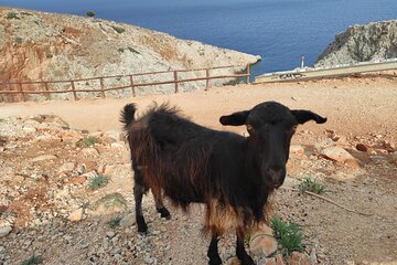 Traditional villages of Chania Private Tour to Explore pure Crete