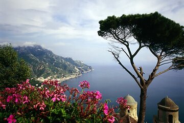 Private Day Tour to Positano Ravllo Vetri Sul Mare and Cetara