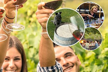 Queenstown Wine Tour with Wine Dog | Adults Only