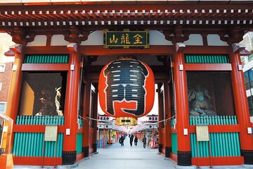 Tokyo Panoramic: Meiji Shrine,Asakusa Temple,Tokyo Tower Day Tour